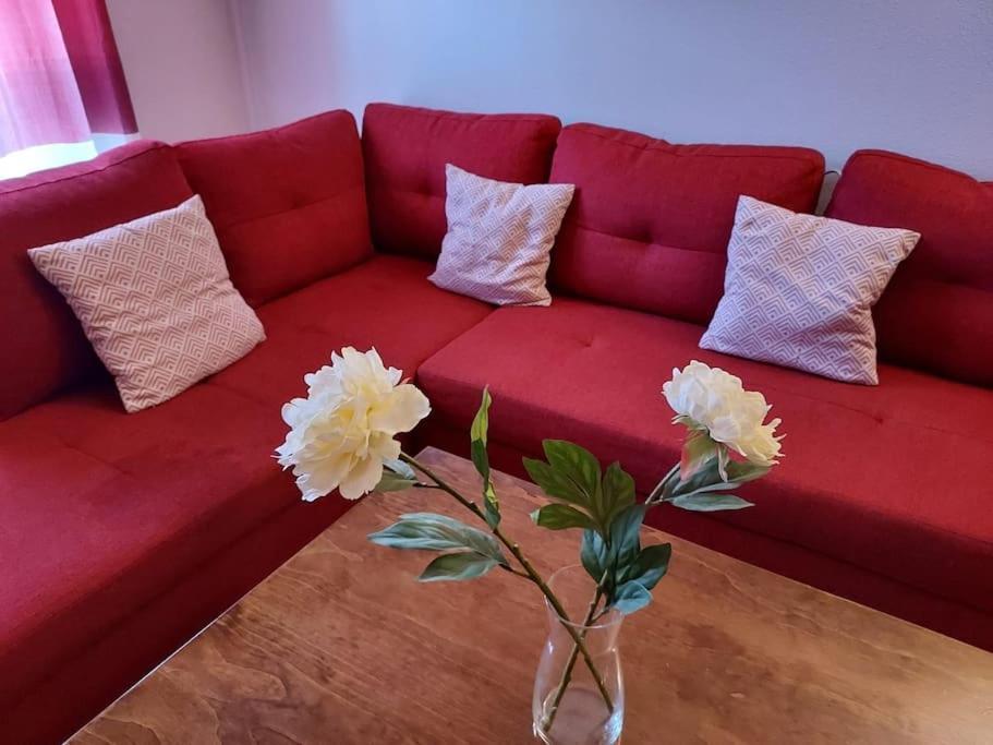 Apartamento Magali Appartamento Armilla Esterno foto